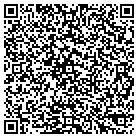 QR code with Bluestream Cash Consultan contacts