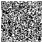 QR code with Bahmer Consulting Group contacts
