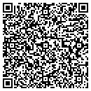 QR code with Pushy Peddler contacts
