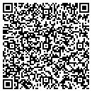 QR code with Pyramid Island Press contacts