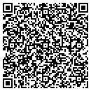 QR code with Boro of Pitman contacts