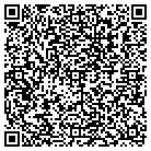 QR code with Publishing Designs Inc contacts