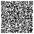 QR code with Augie's contacts