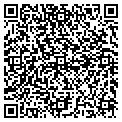 QR code with Amway contacts