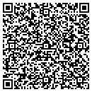 QR code with Big Blue Window Inc contacts