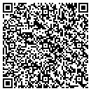 QR code with Public Storage contacts