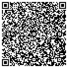QR code with Blue Sawtooth Studio Inc contacts