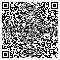 QR code with Gigi's contacts