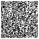 QR code with Plumbing Solutions Corp contacts