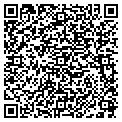 QR code with Blg Inc contacts