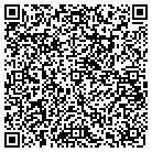 QR code with Blazer Development Inc contacts