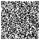 QR code with Blueprint Global Media contacts