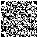 QR code with Precision Automotive contacts