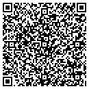 QR code with Curiosity Shoppe Inc contacts