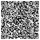 QR code with Blue Mountain Painting contacts