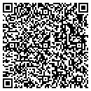 QR code with Color Files & Systems contacts