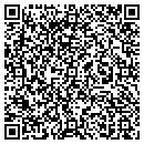 QR code with Color Faux Walls Inc contacts