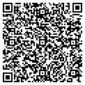 QR code with P M 111 contacts