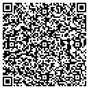QR code with Public Voice contacts