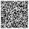 QR code with Dj Fli contacts