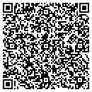 QR code with Brelusia Ventures Inc contacts