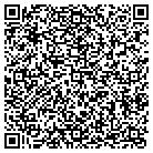 QR code with Platinum Holdings Inc contacts