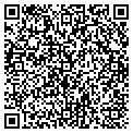 QR code with The Tint Shop contacts