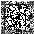 QR code with Brian's Tire & Service contacts