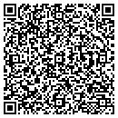 QR code with Young M Chae contacts