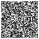QR code with Steve's Ebiz contacts