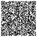 QR code with Collegiate Painting Co contacts