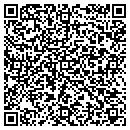QR code with Pulse Entertainment contacts