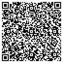QR code with Capitol Metrics LLC contacts