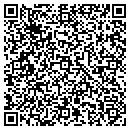 QR code with Bluebird Media L L C contacts