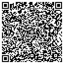 QR code with Pure Platinum Dj CO contacts
