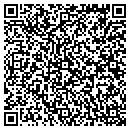 QR code with Premier Auto & Tire contacts
