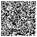 QR code with Offimed contacts