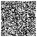 QR code with Boise Gutter contacts