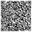 QR code with Bluetek It Solutions contacts