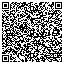 QR code with Curtain Call Playhouse contacts