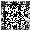 QR code with Alltel contacts