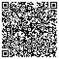 QR code with Alltel contacts