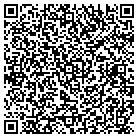 QR code with Bluemoon Website Design contacts