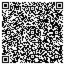 QR code with Prudential Lres LLC contacts