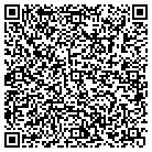 QR code with Blue Earth Interactive contacts