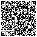 QR code with Damnet contacts