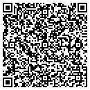 QR code with Pv Investments contacts