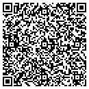 QR code with Carney Oil & Tire Inc contacts