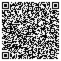 QR code with Digis Networks contacts