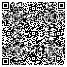 QR code with Brook Green Solutions Inc contacts